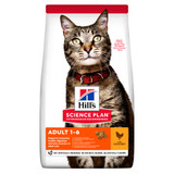 Adult Chicken Torrfoder för Katt