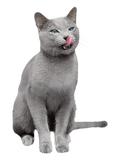 Happy Snack Kyckling by FELIWAY