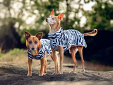 Zebra Shirt Insektsrepellerande Hundtröja