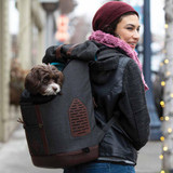 K9 Ryggsäck till Hund