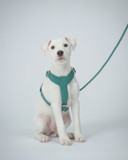 Visability Rope Leash Reflekterande Hundkoppel Emerald