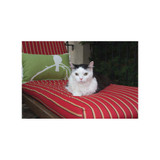 Vit Kattdörr 4-vägslåsning med Manuell Låsning