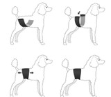 Male Wraps JustinCase Hanhundsskydd