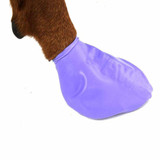 Pawz Hundsko - L
