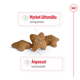 Mini Adult Torrfoder till Vuxna Hundar