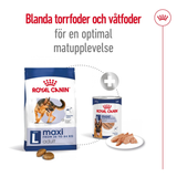 Maxi Adult Torrfoder Till Vuxna Hundar 