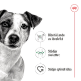 Mini Adult Loaf Can Våtfoder till Hundar