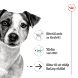 Mini Ageing Loaf Can Våtfoder till Seniora Hundar 
