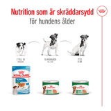 Mini Ageing Loaf Can Våtfoder till Seniora Hundar 