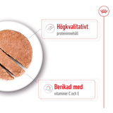 Medium Adult Loaf Can Våtfoder till Mellanstora Hundar