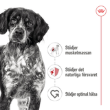 Medium Adult Loaf Can Våtfoder till Mellanstora Hundar