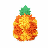 Aktiveringsmatta till Hund Ananas