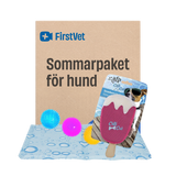 Sommarpaket för hund