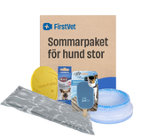 Sommarpaket för hund - stor