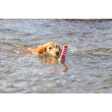 Vattenleksak Fyr på Rep för Hund