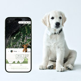 LilDog 2 GPS-Tracker till Hund