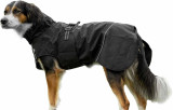 Outdoor Rainjacket för Hund