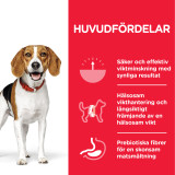 2 st Adult Perfect Weight Medium torrfoder med kyckling Hundfoder 12 kg