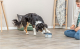 Dog Activity Buzzer, Nivå 1 Aktiveringsleksak