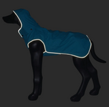 Stream Regnjacka Blå för Hund