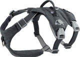 Hundsele ECO Safeguard - XS Blackberry, S Blackberry, M Blackberry, L Blackberry, XL Blackberry