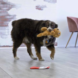 KONG Comfort Pups Nalle Hundleksak