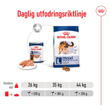Maxi Adult Loaf Can Våtfoder till Stora Hundar 
