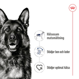 Maxi Adult Loaf Can Våtfoder till Stora Hundar 