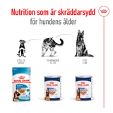 Maxi Adult Loaf Can Våtfoder till Stora Hundar 