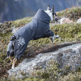 Extreme Hundoverall Vinröd