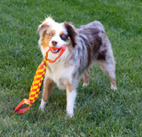 KONG Maxx Tug Hundleksak