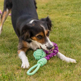 Bungee Repleksak till Hund