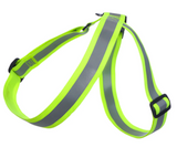 Reflexsele till Hund