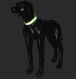 Reflexhalsband till Hund