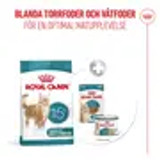 Ageing 15+ Torrfoder för katt