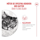 Ageing 15+ Torrfoder för katt