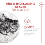 Ageing 15+ Torrfoder för katt