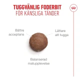 Ageing 15+ Torrfoder för katt