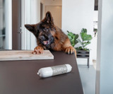 Feast Korv med Hjort Hundfoder