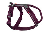 Line Harness 5.0 Orange / Purple