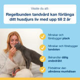 ProDen PlaqueOff® Bites till Katt
