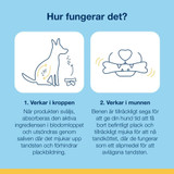 ProDen PlaqueOff® Dental Bone Turkey Tuggben till Hund