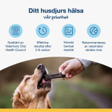 ProDen PlaqueOff® Mini Dental Bone Tuggben till Hund