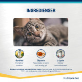 Lysin Aid till Katt och Kattunge