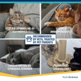 Lysin Aid till Katt och Kattunge