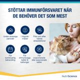Lysin Aid till Katt och Kattunge
