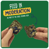 Excel Natures Snack Forage & Feast Bar Cornflower för Kaniner & Marsvin