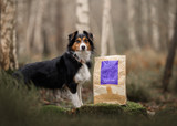 Essential Estate Living Torrfoder till Hund