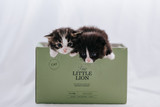 Essential Little Lion Paté till Kattunge