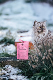 Essential Panther Paté till Katt